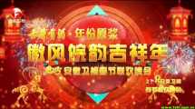 安徽卫视 2015春晚 徽风皖韵吉祥年