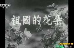 祖国的花朵