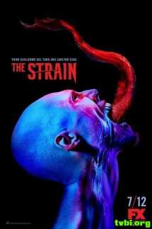 血族/嗜血菌株/The Strain 第二季[13集]
